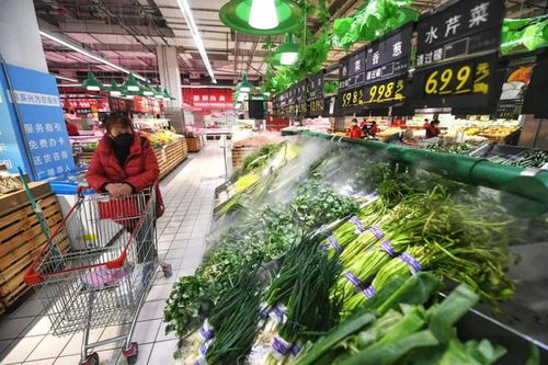 苗木價(jià)格迎來下行拐點(diǎn)，市場機(jī)遇與挑戰(zhàn)并存