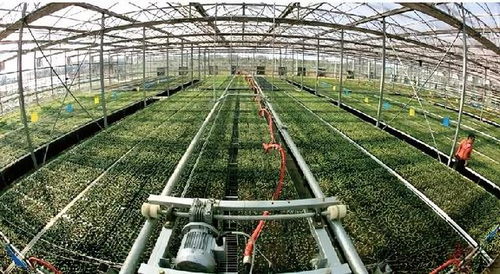 AI引領(lǐng)農(nóng)業(yè)變革 未來十年我國將停止無公害農(nóng)產(chǎn)品認(rèn)證