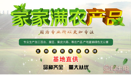 甘肅優質紫皮獨頭蒜 天然綠色的健康蔬菜之選